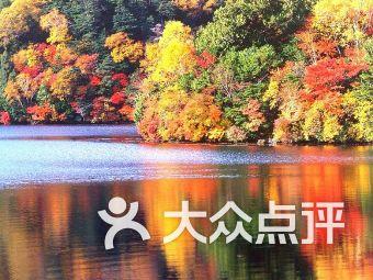 热血冰球