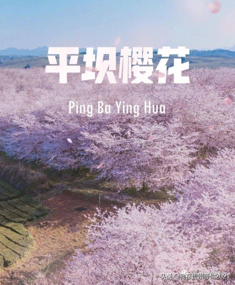 河北区新增一条“可变车道”!