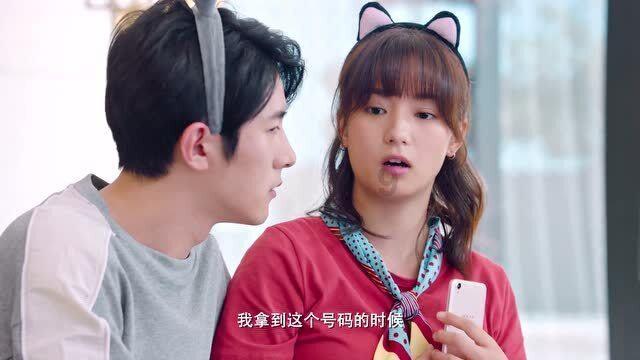 救援小棕兔
